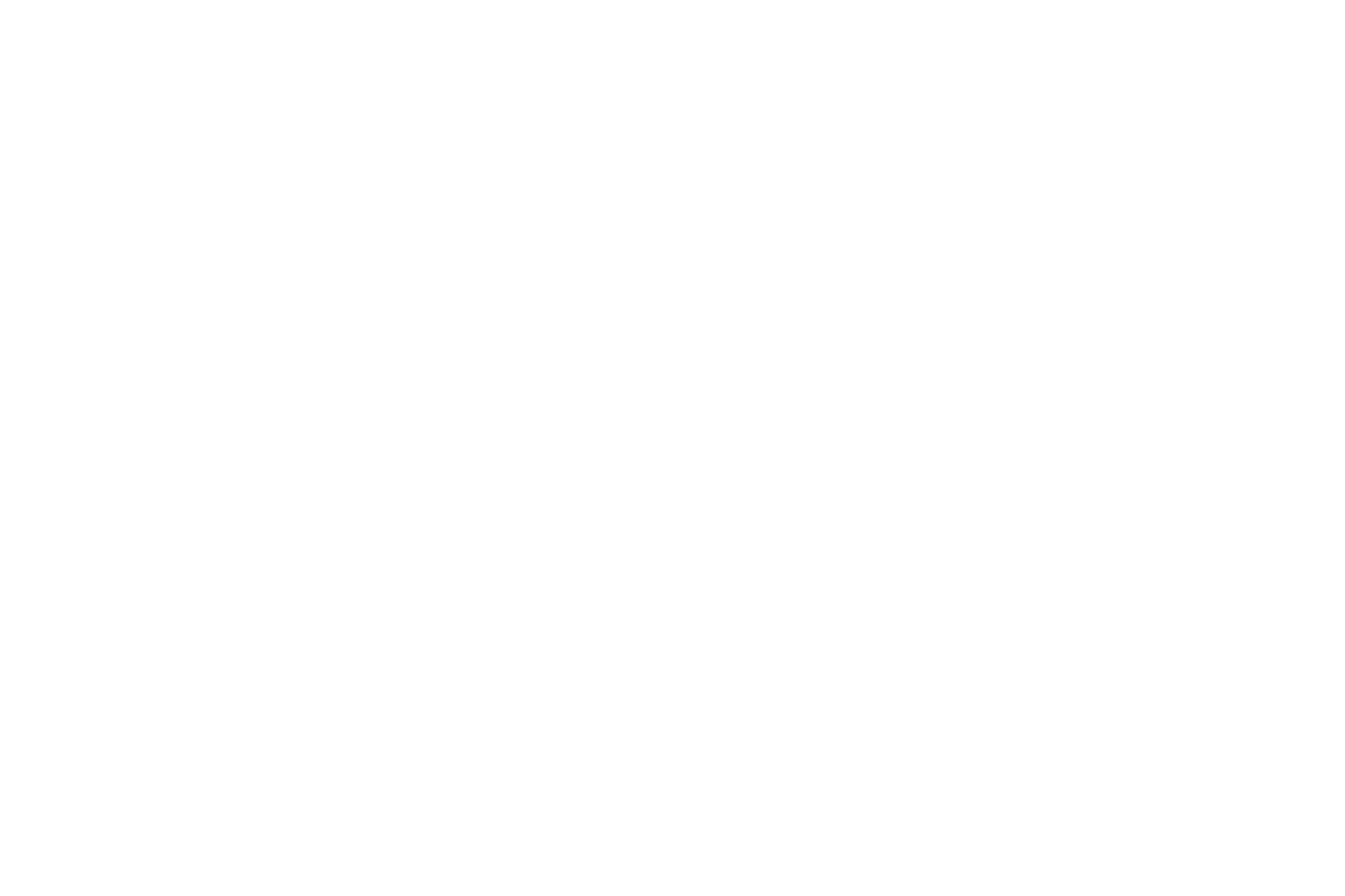 DaySparkes Logotype - White - Peek Creative Limited